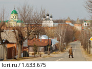Улица Зарайска (2009 год). Стоковое фото, фотограф Денис Ларкин / Фотобанк Лори