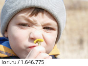 Мальчик с цветочком. Стоковое фото, фотограф Paleka / Фотобанк Лори
