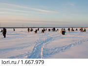 Рыбаки на реке утро тропинка (2010 год). Редакционное фото, фотограф Алексей Ширманов / Фотобанк Лори