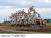 Нефтяные качалки. Стоковое фото, фотограф Наталья Савельева / Фотобанк Лори