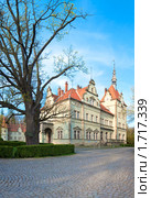 Охотничий Замок Shenborn, Закарпатье, Украина. Стоковое фото, фотограф Юрий Брыкайло / Фотобанк Лори