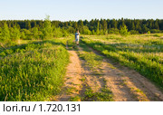 Мужчина идет по проселочной дороге (2009 год). Редакционное фото, фотограф Светлана Силецкая / Фотобанк Лори