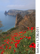 Мыс Фиолент. Крым (2010 год). Стоковое фото, фотограф Роман Рожков / Фотобанк Лори