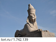 Египетский сфинкс на Университетской набережной (фрагмент). Санкт-Петербург (2010 год). Стоковое фото, фотограф LightLada / Фотобанк Лори