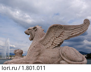 Тигр в Женеве (2010 год). Стоковое фото, фотограф Владимир Журавлев / Фотобанк Лори