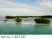 Мангровые зоросли на Кубе (2006 год). Стоковое фото, фотограф Маргарита Герм / Фотобанк Лори