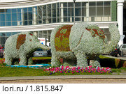 Цветочная клумба в виде слонихи и слонёнка (2009 год). Редакционное фото, фотограф Юлия Врублевская / Фотобанк Лори