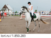 Конный спорт (2010 год). Редакционное фото, фотограф Михаил Павлов / Фотобанк Лори