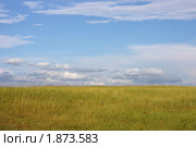 Поле и облака. Стоковое фото, фотограф Полина Столбушинская / Фотобанк Лори