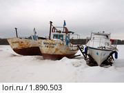 Зима на Белом море. Стоковое фото, фотограф Некрасов Андрей / Фотобанк Лори