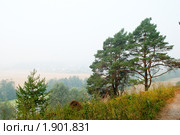 Село Хатунь. Ступинский район. Московская область (2010 год). Стоковое фото, фотограф E. O. / Фотобанк Лори
