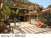 Отель на деревьях. Олимпос, Турция (2010 год). Редакционное фото, фотограф Некрасов Андрей / Фотобанк Лори