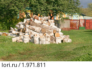 На дворе трава, на траве дрова. Стоковое фото, фотограф Щеголева Ольга / Фотобанк Лори