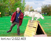 Дрессировка собаки. Стоковое фото, фотограф Сергей Лаврентьев / Фотобанк Лори