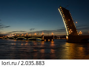 Санкт-Петербург,  Троицкий мост (2010 год). Редакционное фото, фотограф Литвяк Игорь / Фотобанк Лори