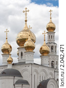 Купола Спасо-Преображенского кафедрального собора в Абакане (2010 год). Стоковое фото, фотограф Шичкина Антонина / Фотобанк Лори