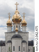 Спасо-Преображенский кафедральный собор в Абакане (2010 год). Стоковое фото, фотограф Шичкина Антонина / Фотобанк Лори