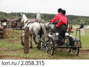 Чемпионат России по драйвингу 2010 в КСК "Свечинский". Экипаж С. Спектра (Россия) проходит препятствие. Редакционное фото, фотограф Устинова Мария / Фотобанк Лори