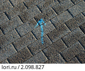 Стрелка на асфальте. Стоковое фото, фотограф Алексей Шматков / Фотобанк Лори