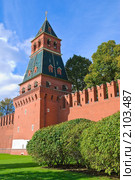 Благовещенская башня Московского Кремля (2010 год). Стоковое фото, фотограф Алёшина Оксана / Фотобанк Лори