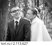 Жених и невеста. Стоковое фото, фотограф Кристина Викулова / Фотобанк Лори