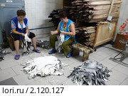 Балашиха, предприятие по выделке меха (2010 год). Редакционное фото, фотограф Дмитрий Неумоин / Фотобанк Лори