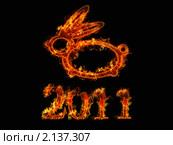 Заяц 2011. Стоковая иллюстрация, иллюстратор Базыльчик Светлана / Фотобанк Лори
