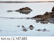 Отложение соли на Мертвом море (2010 год). Стоковое фото, фотограф Irina Opachevsky / Фотобанк Лори