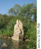 Аисты (2010 год). Редакционное фото, фотограф Екатерина Белоусова / Фотобанк Лори