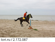 Рубка лозы. Стоковое фото, фотограф Олег Хархан / Фотобанк Лори
