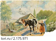 Юная пастушка. Старая немецкая открытка. Издание не позднее конца 1917 г. Стоковое фото, фотограф Говорова Лариса / Фотобанк Лори