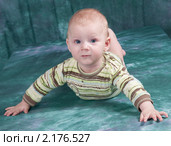 Семимесячный мальчик привстал на руках. Стоковое фото, фотограф Федор Королевский / Фотобанк Лори