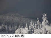 Восточная Богемия. Зимний пейзаж (2010 год). Стоковое фото, фотограф Gagara / Фотобанк Лори