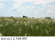 Хомутовская степь. Донецк, Украина (2009 год). Редакционное фото, фотограф Артем Поваров / Фотобанк Лори