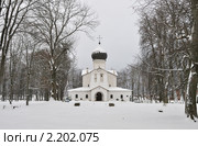 Вид на церковь Иконы Божией Матери Державная в Гдовской крепости (2010 год). Стоковое фото, фотограф Виктор Карасев / Фотобанк Лори