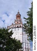 Уточная башня.Троице-Сергиевая  Лавра. (2010 год). Стоковое фото, фотограф Макарова Елена / Фотобанк Лори