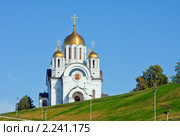 Самара. Собор святого Георгия Победоносца на площади Славы (2009 год). Стоковое фото, фотограф ElenArt / Фотобанк Лори