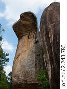 Скала в виде Кобры. Сигирия (Sigiriya). Шри Ланка (2010 год). Стоковое фото, фотограф E. O. / Фотобанк Лори