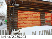Оконные проемы, заполненные новым сосновым брусом. Стоковое фото, фотограф Анатолий Матвейчук / Фотобанк Лори