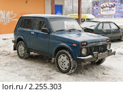 ВАЗ-2121 "Нива" (2010 год). Редакционное фото, фотограф Алёшина Оксана / Фотобанк Лори