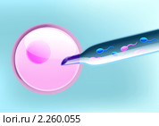 Экстракорпоральное оплодотворение - спермии с X и с Y хромосомами. Стоковая иллюстрация, иллюстратор Анастасия Некрасова / Фотобанк Лори