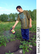 Мужчина обрабатывает картофель ядохимикатами (2010 год). Редакционное фото, фотограф Александр Тараканов / Фотобанк Лори