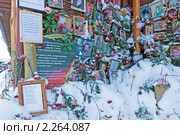 Цветы и фотографии у входа в сгоревший клуб "Хромая лошадь". Пермь (2010 год). Редакционное фото, фотограф Румянцева Наталия / Фотобанк Лори