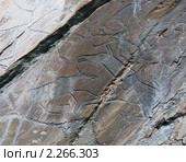 Наскальная живопись. Петроглифы (2009 год). Редакционное фото, фотограф Петр Ермаков / Фотобанк Лори