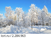Парк Круунунпуисто. Иматра, Финляндия (2010 год). Стоковое фото, фотограф Татьяна Савватеева / Фотобанк Лори