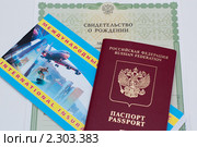 Свидетельство о рождении, загранпаспорт и страховка (2011 год). Редакционное фото, фотограф Катерина Макарова / Фотобанк Лори