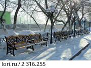 Красивые резные деревянные лавочки зимним утром. Стоковое фото, фотограф Вера Тропынина / Фотобанк Лори