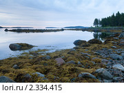 Белая ночь над заливом Белого моря. Стоковое фото, фотограф Михаил Иванов / Фотобанк Лори