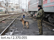 Служебная собака на железной дороге (2011 год). Редакционное фото, фотограф Free Wind / Фотобанк Лори