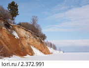 Одинокая ель на обрывистом берегу замерзшей реки. Стоковое фото, фотограф Александр Максимов / Фотобанк Лори